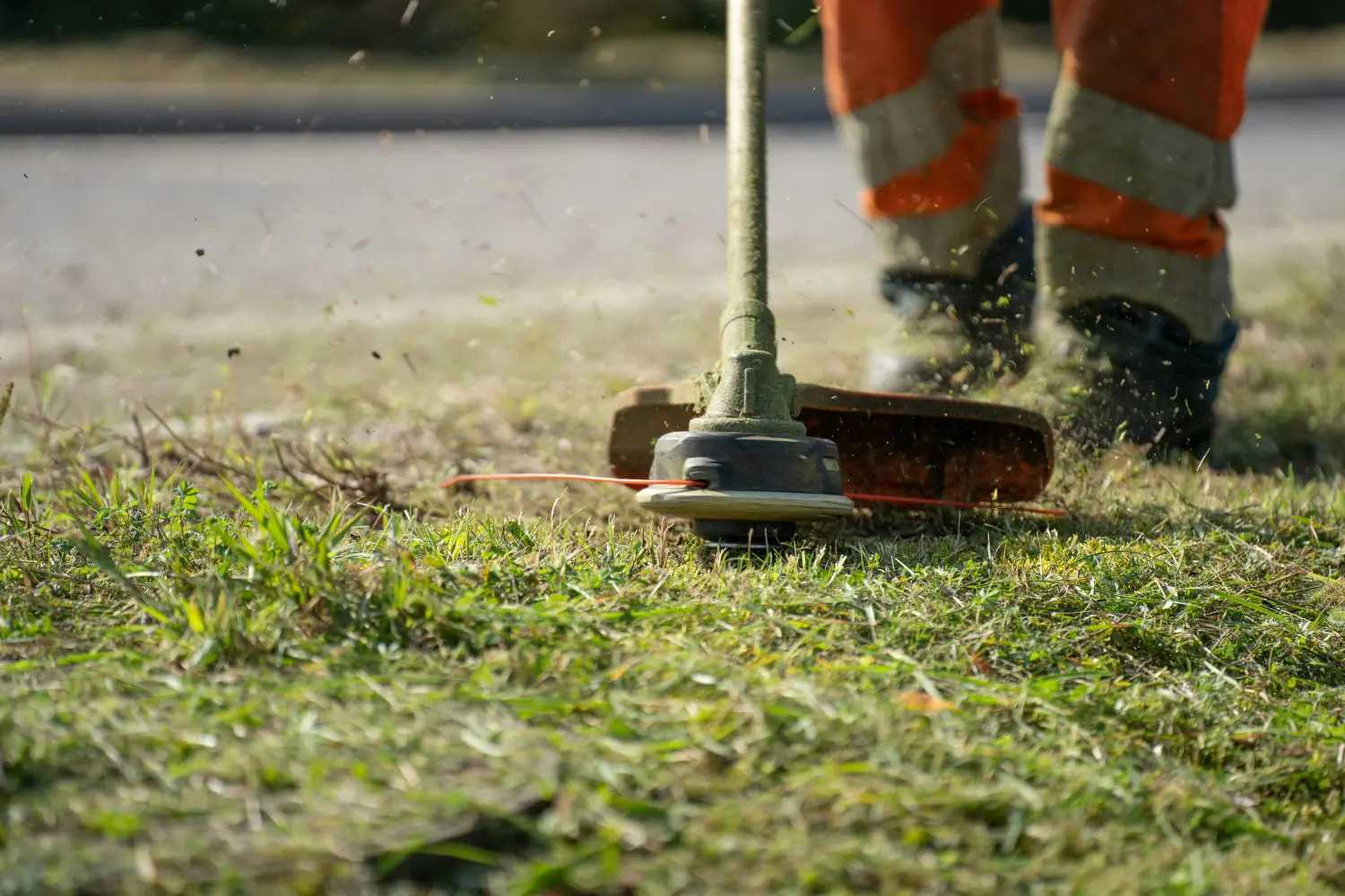 Garten- und Grünanlagenpflege von Reinigungs und Servicegesellschaft